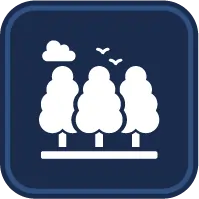 City Forest