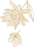 Big Flower